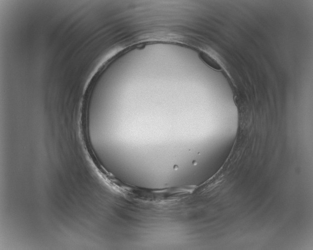 X0000062141139200512301520