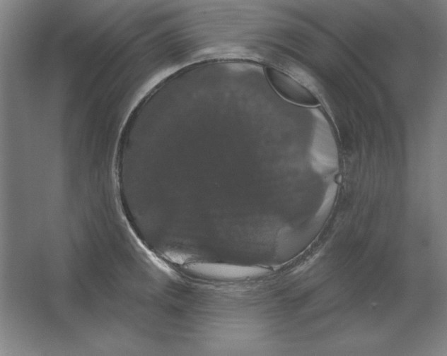 X0000062141141200512301520