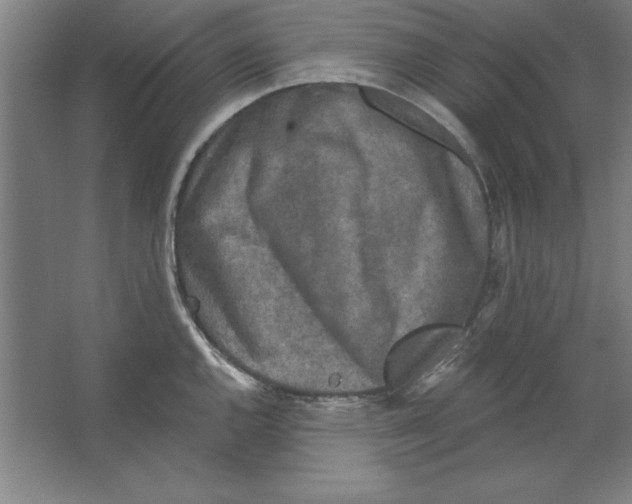 X0000062141144200512301520