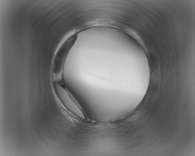 X0000062141146200512301521