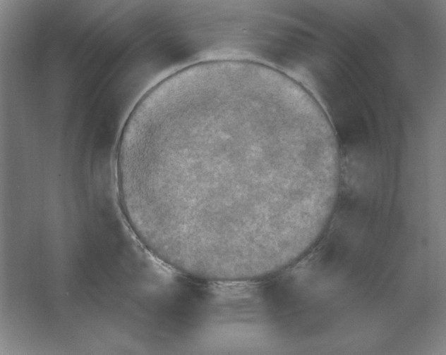 X0000062141150200512301521