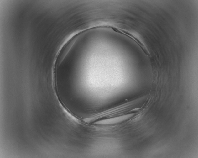 X0000062141151200512301521