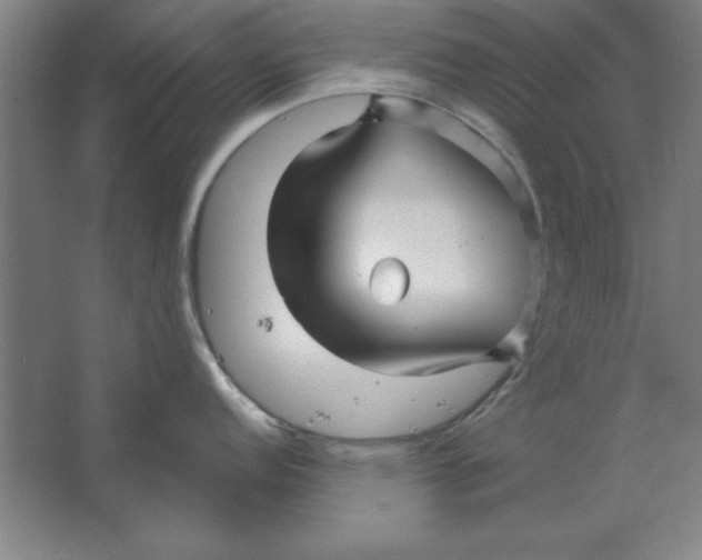 X0000062141152200512301521