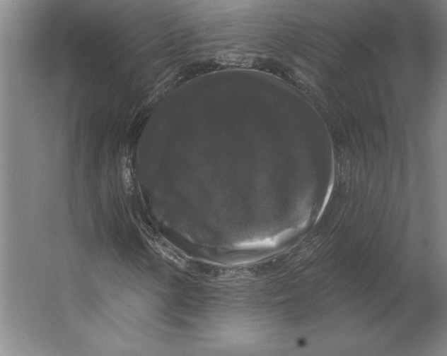 X0000062141154200512301520