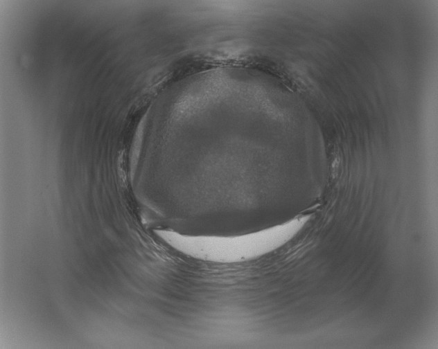 X0000062141156200512301520