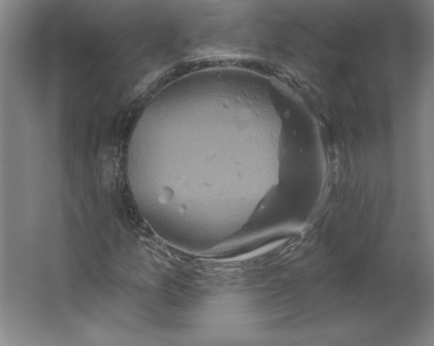 X0000062141157200512301520