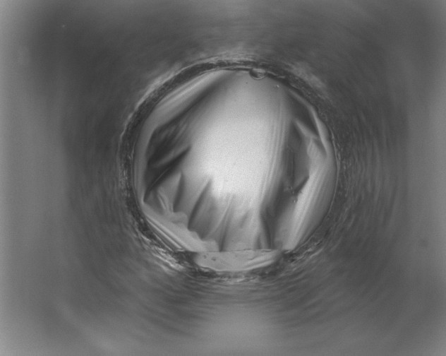 X0000062141160200512301520