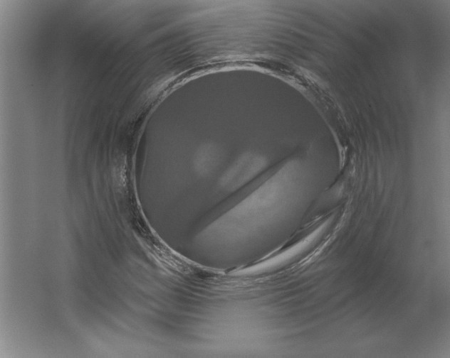 X0000062141161200512301520