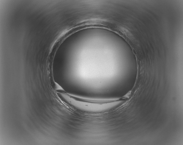 X0000062141164200512301520