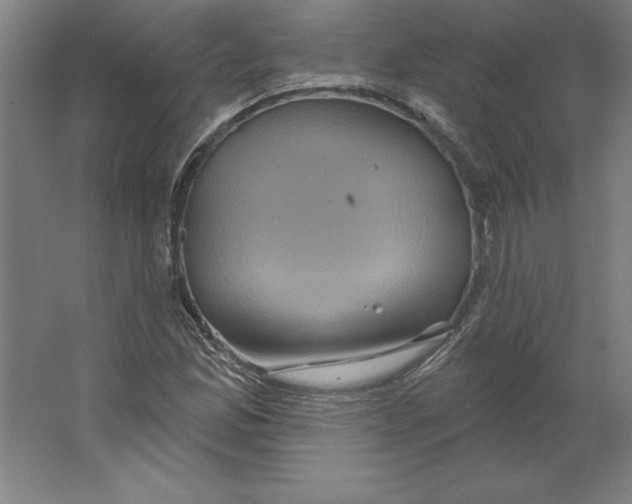 X0000062141165200512301520