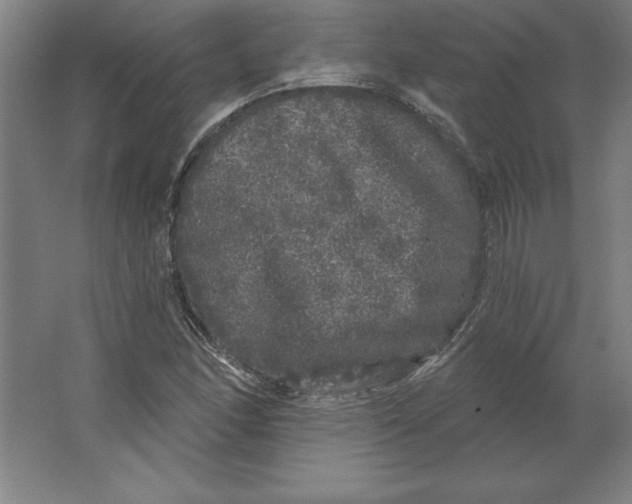 X0000062141166200512301520