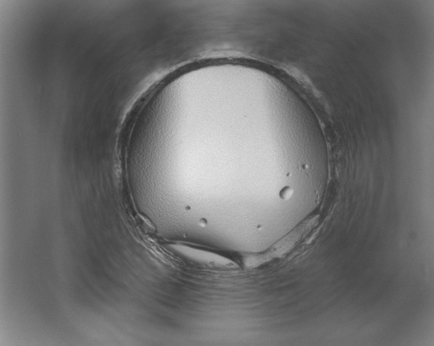 X0000062141167200512301520