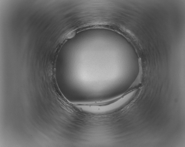 X0000062141169200512301520