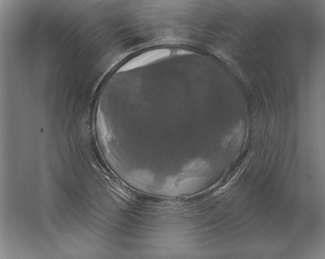 X0000062141170200512301520