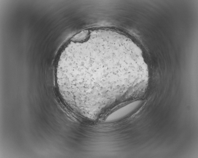 X0000062141171200512301520