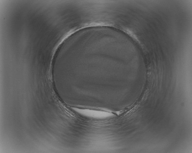 X0000062141173200512301519