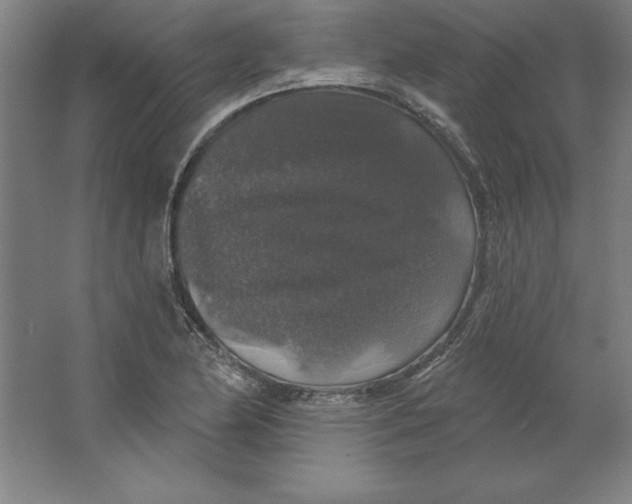 X0000062141174200512301519