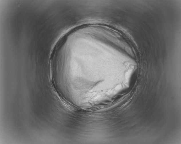 X0000062141175200512301519