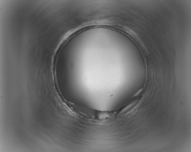 X0000062141176200512301519