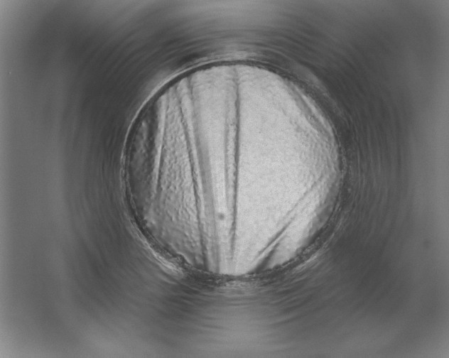 X0000062141178200512301519