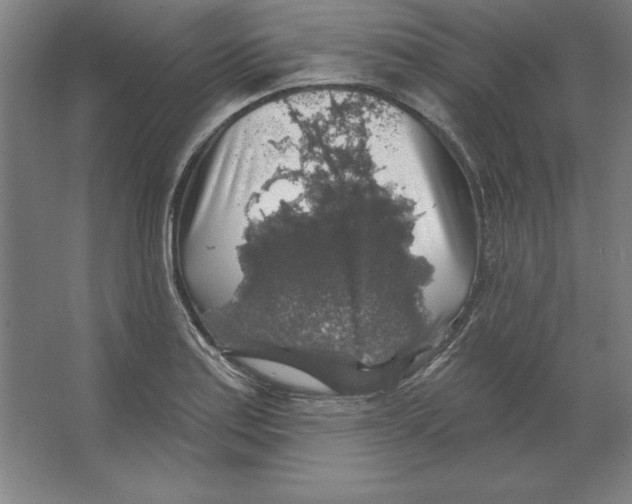 X0000062141179200512301519