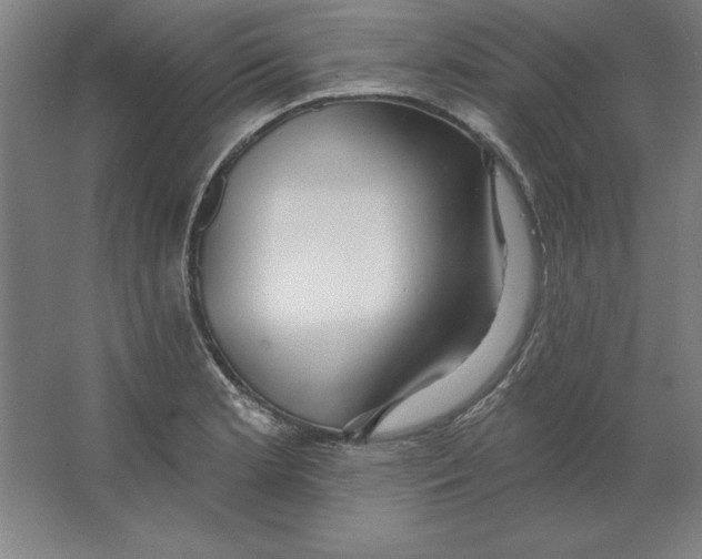 X0000062141181200512301519