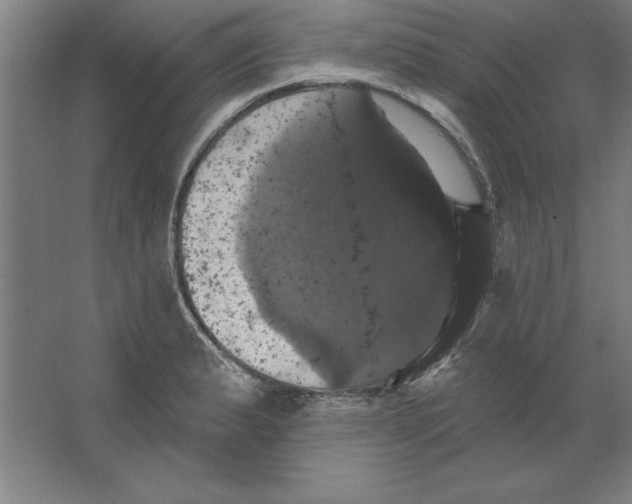 X0000062141183200512301519