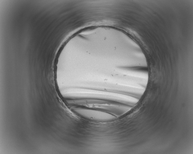 X0000062141184200512301519