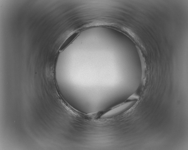 X0000062141185200512301519