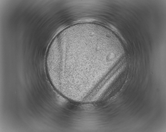 X0000062141186200512301519