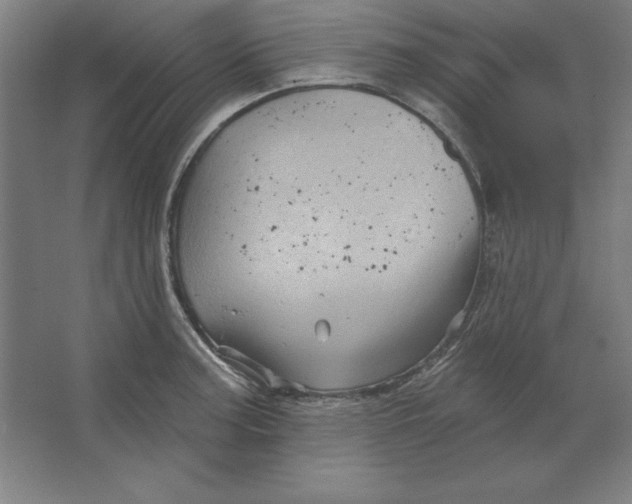 X0000062141187200512301519