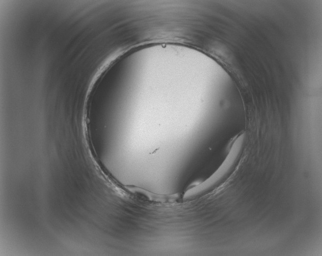 X0000062141188200512301519