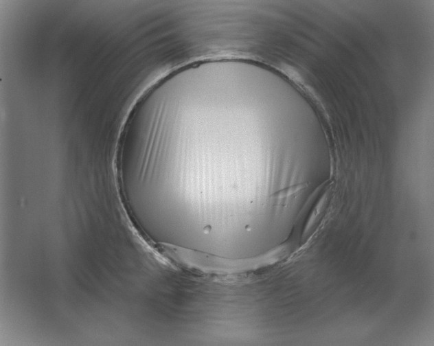 X0000062141189200512301519