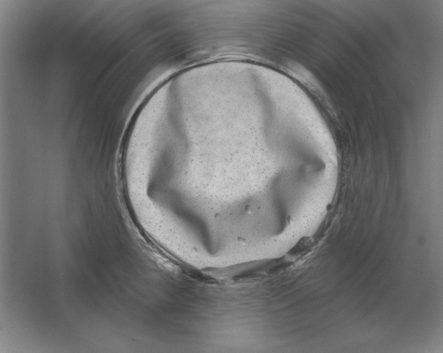 X0000062141190200512301519