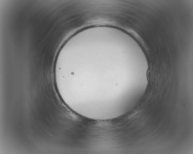 X0000062141191200512301519