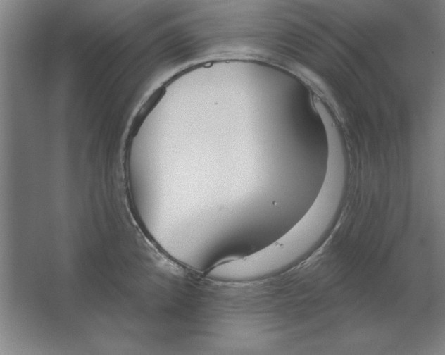 X0000062141192200512301519