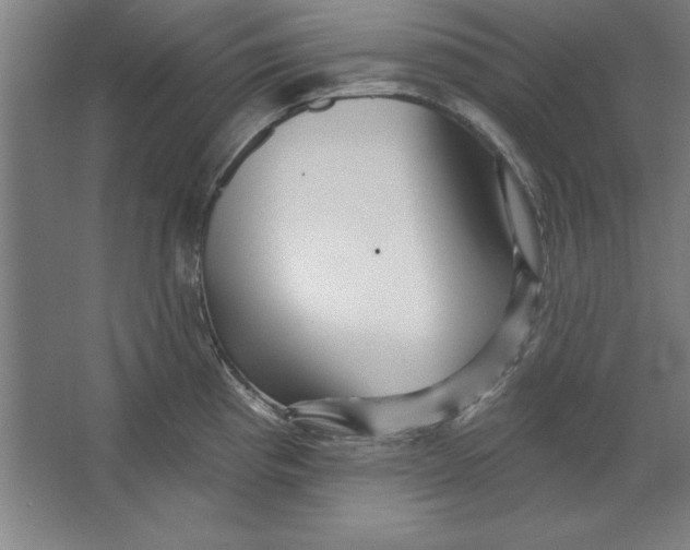 X0000062141193200512301519