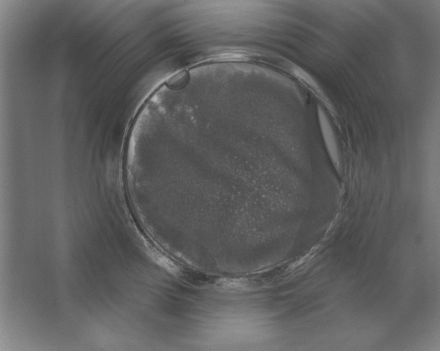 X0000062141194200512301519