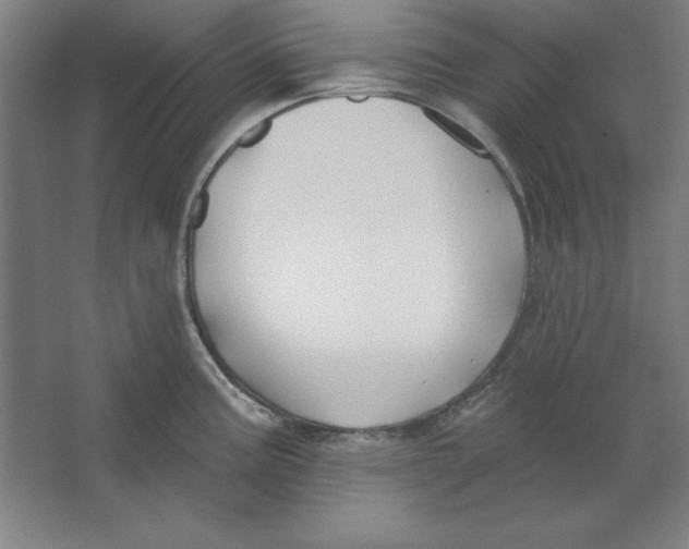 X0000062141195200512301519