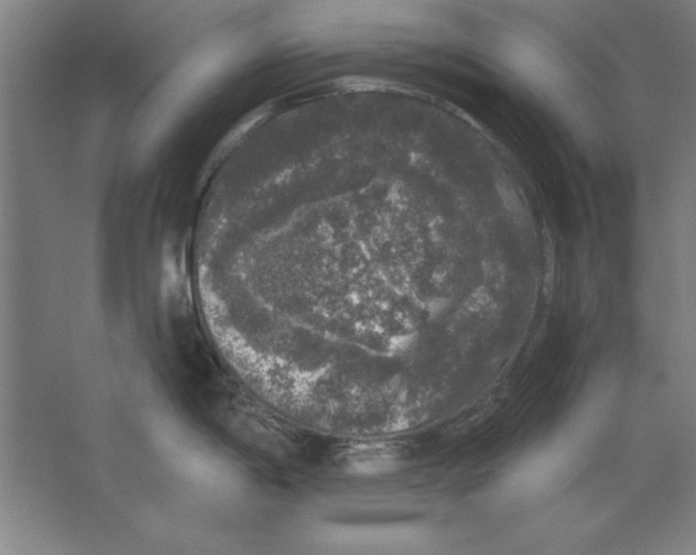 X0000062141198200512301519