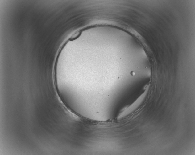 X0000062141199200512301519