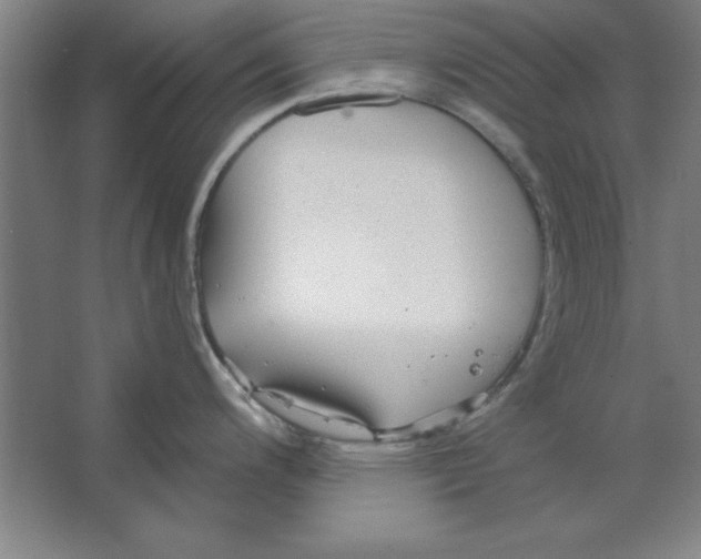 X0000062141200200512301519