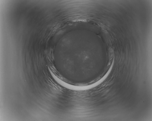 X0000062141202200512301518