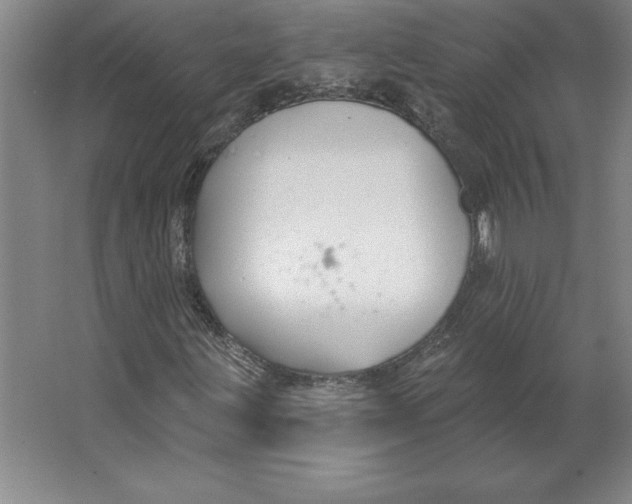 X0000062141203200512301518