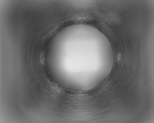 X0000062141204200512301518