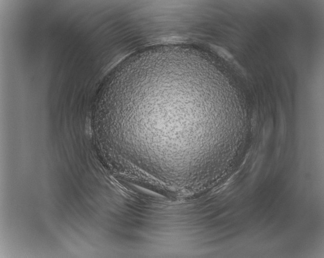 X0000062141209200512301518