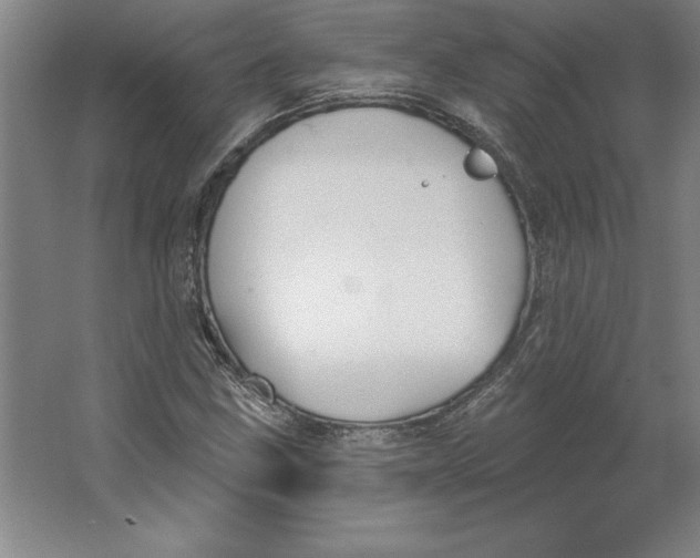 X0000062141211200512301518