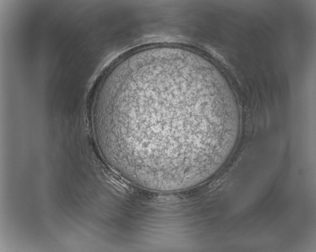 X0000062141215200512301518