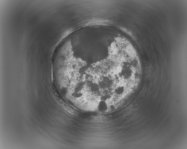 X0000062141219200512301519