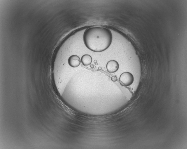 X0000062141220200512301519